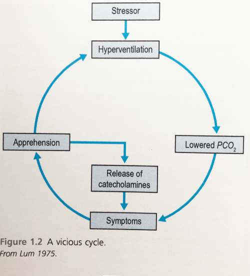 Lum's cycle